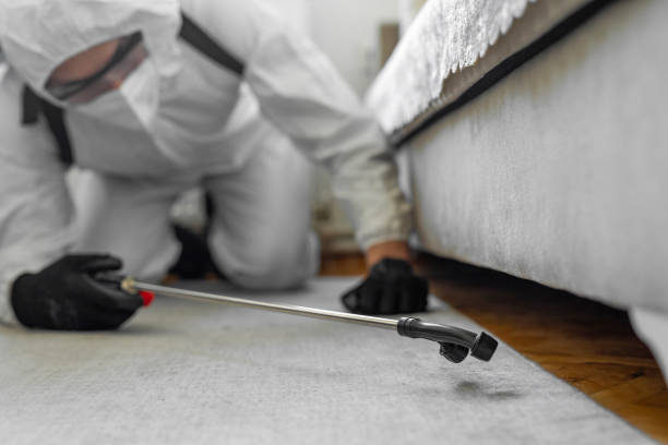 Professional Bed Bug Control technician working in Bangor, PA