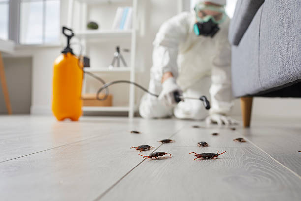 Trusted Cockroach Control service in Bangor, PA - Nex Pest Control