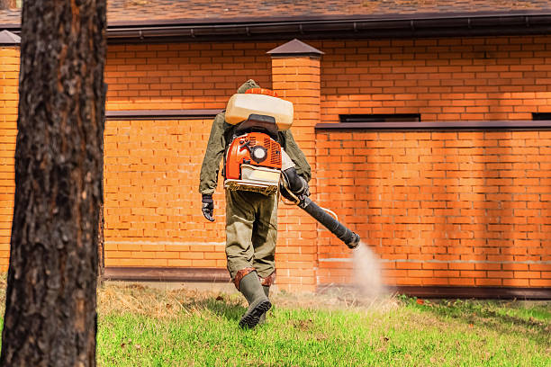 Trusted Ant Control service in Bangor, PA - Nex Pest Control